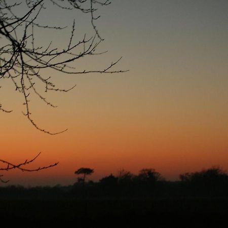 Gite Le Coucher De Soleil Plessé エクステリア 写真